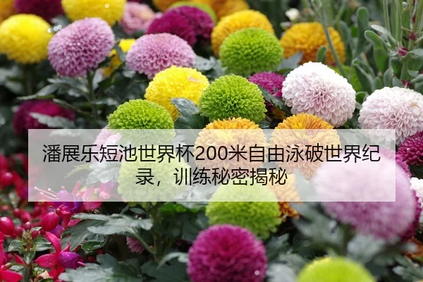 潘展乐短池世界杯200米自由泳破世界纪录，训练秘密揭秘